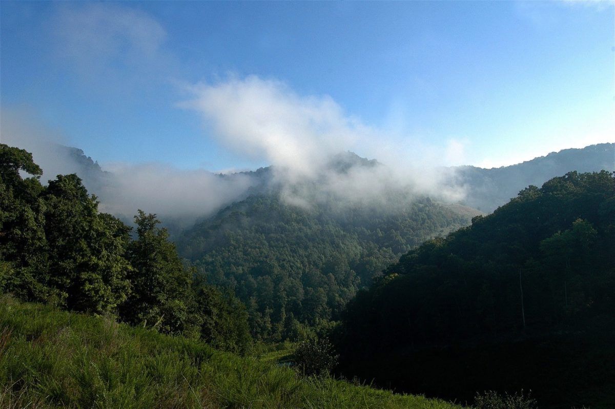 honeymoon suite, 1 king bed | view from room