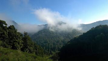 Eine gebirgige Landschaft mit dichtem Wald und nebelverhangenen Gipfeln.