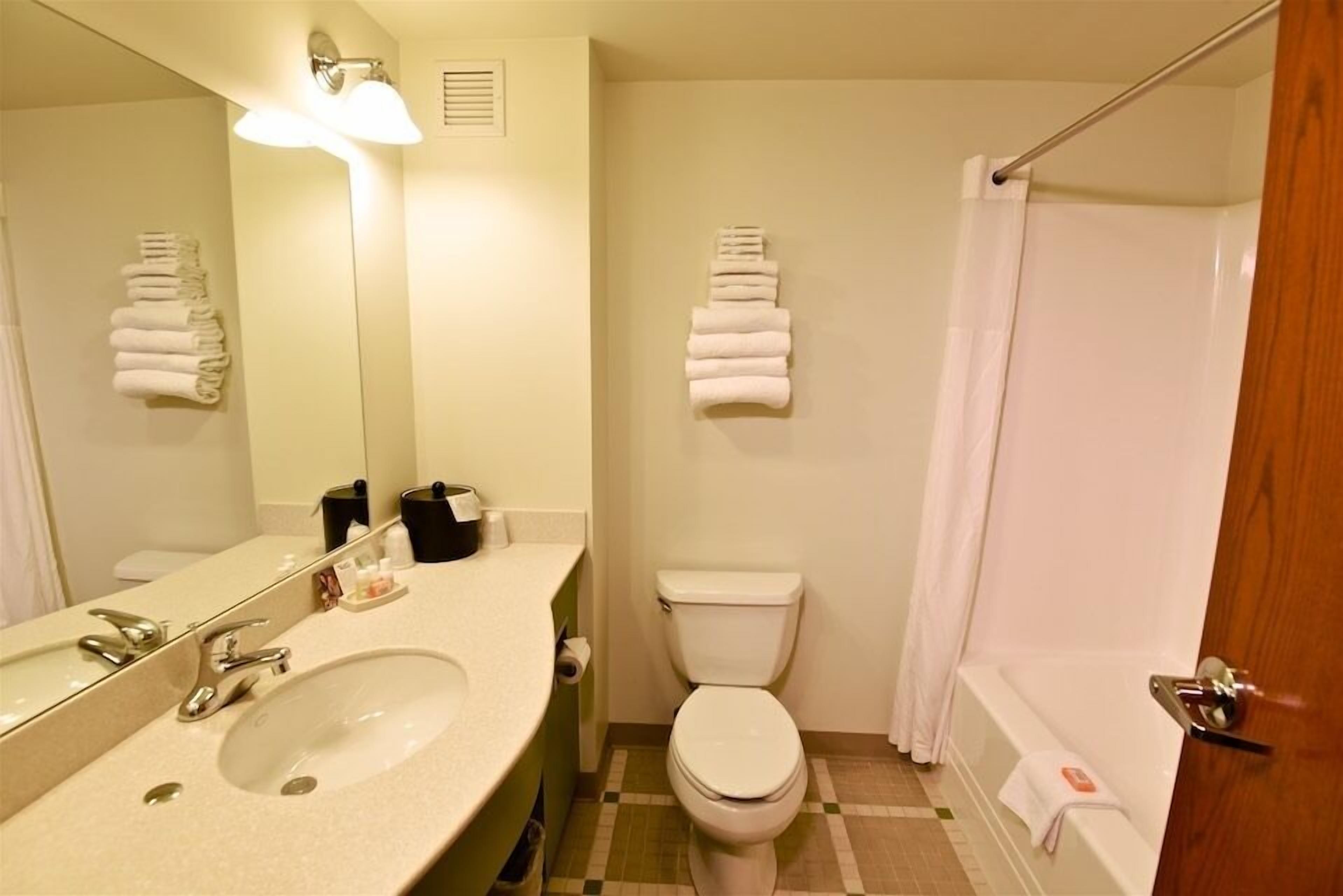 combined shower/bathtub, free toiletries, hair dryer, towels