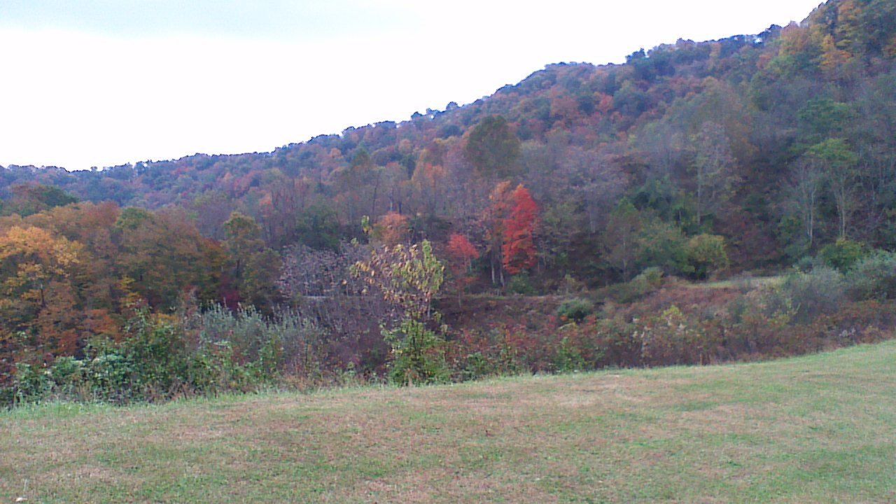 single room, 2 queen beds | view from room