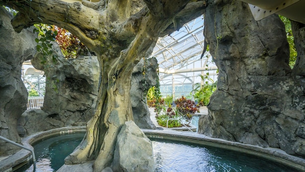 Una piscina cubierta, 2 piscinas al aire libre, sombrillas, tumbonas