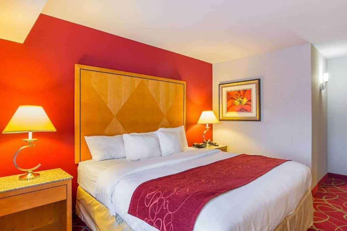 A hotel room with a large bed, two bedside lamps, a red accent wall, and a framed picture on the wall.