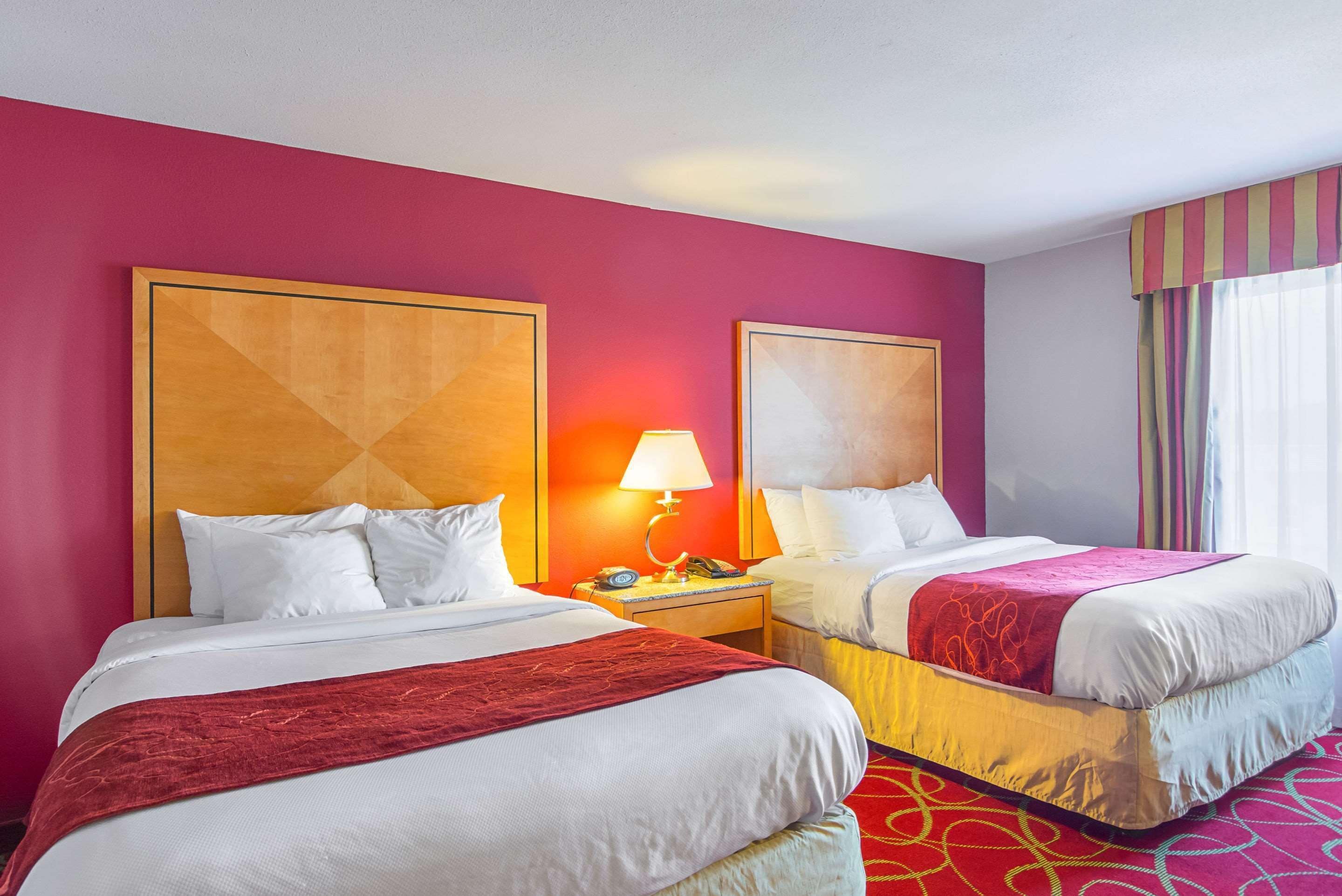 Une chambre d’hôtel avec deux lits, une moquette rouge et une grande fenêtre avec des rideaux.