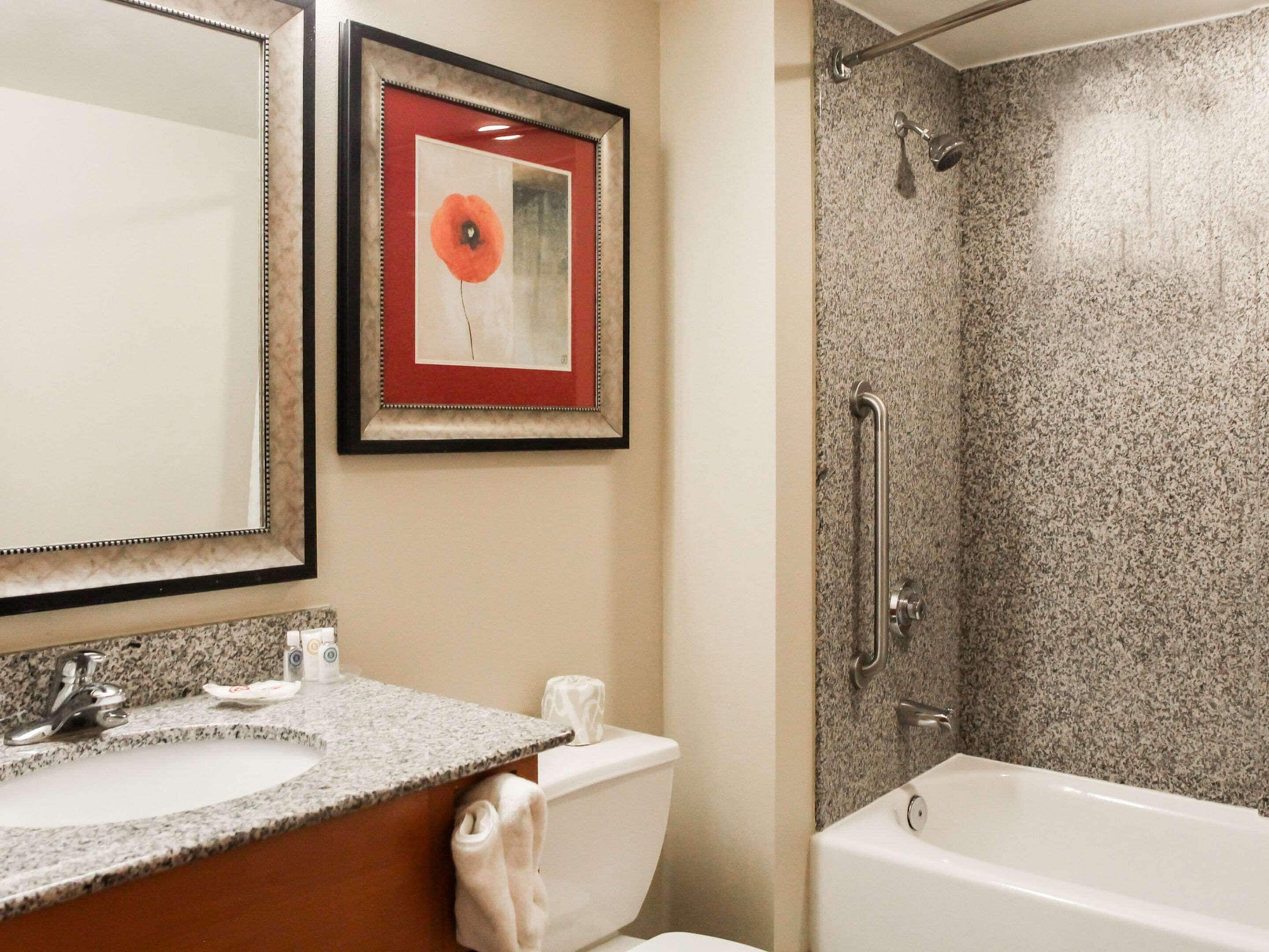 Une salle de bain dotée d’un lavabo avec un plan de toilette en granit, de toilettes, d’une œuvre d’art encadrée et d’une douche à l’italienne avec un mur en granit.