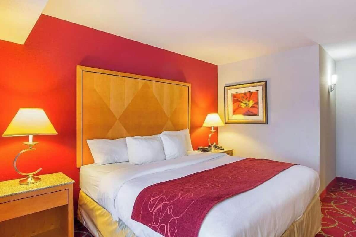 Down duvets, pillow-top beds, desk, laptop workspace