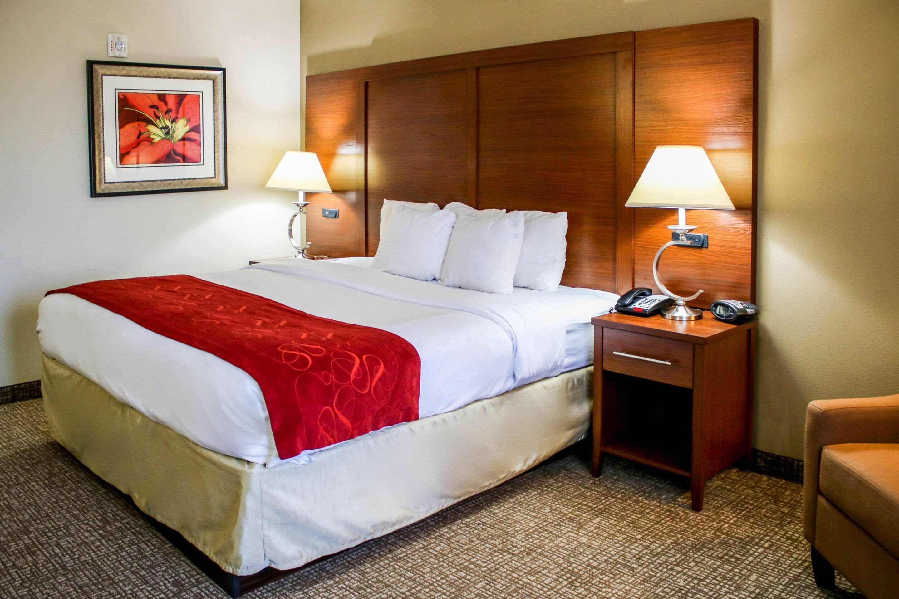 A hotel room with a large bed, two bedside lamps, a wooden headboard, a framed picture on the wall, and a carpeted floor.