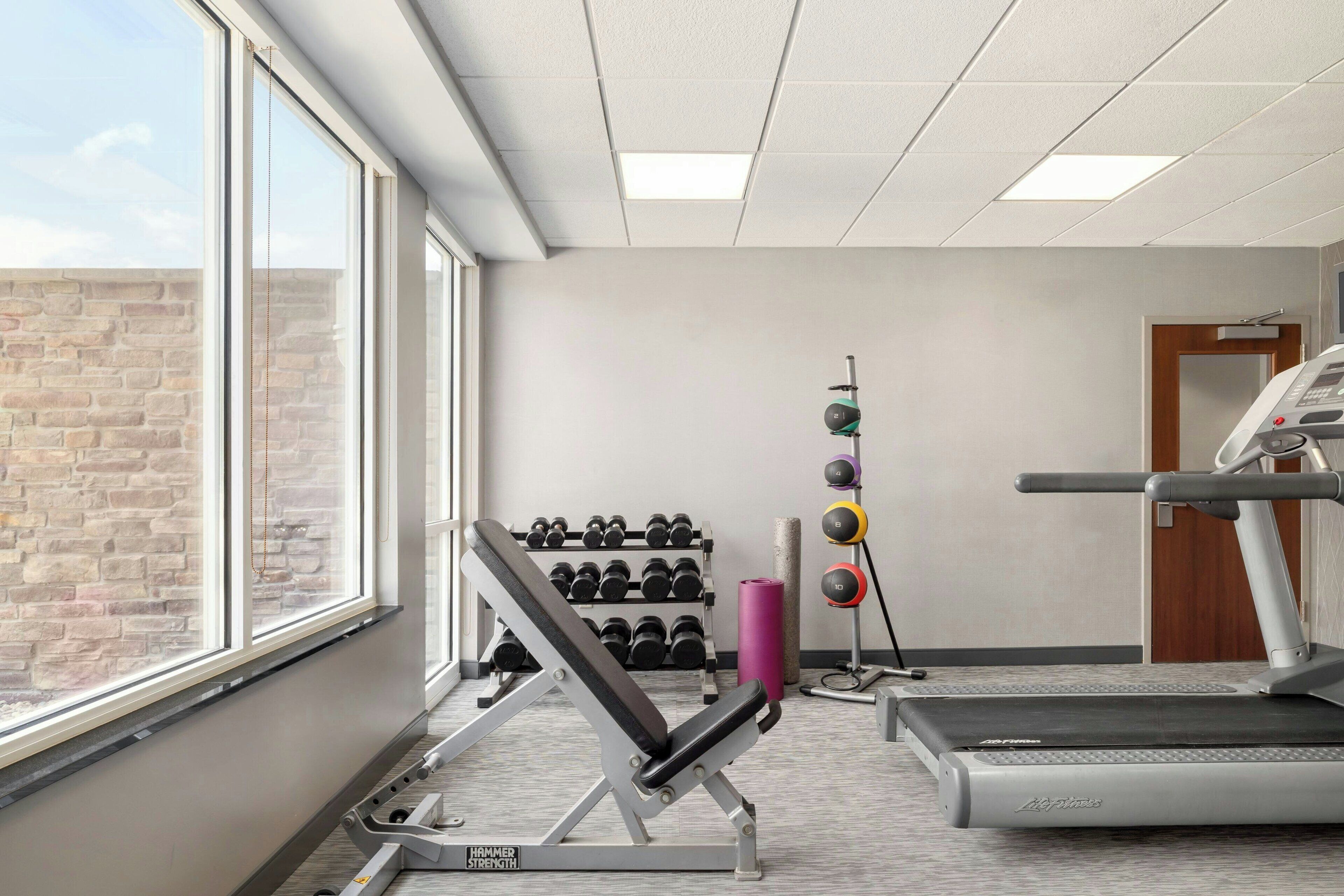 Un gimnasio con banco de pesas, mancuernas, cinta de correr y una torre de pesas.