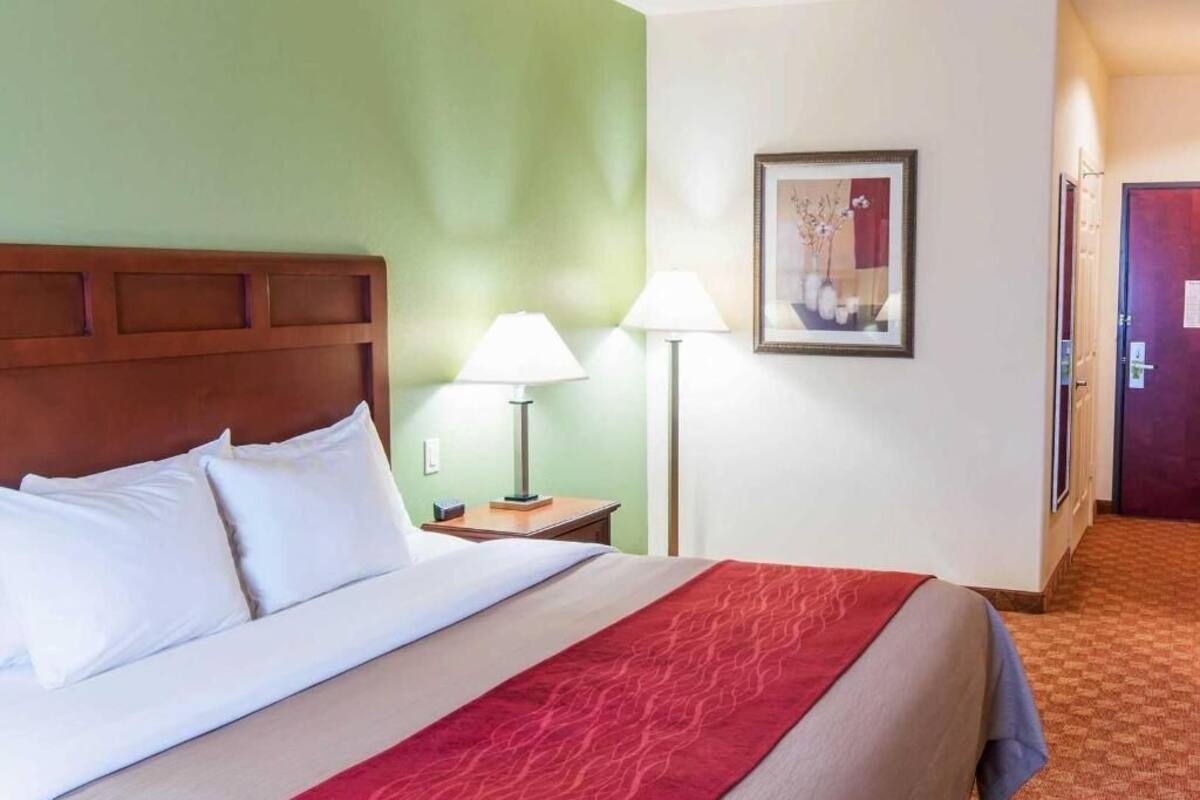 Habitación de hotel con cama, mesita de noche, lámpara, un cuadro en la pared y una puerta al fondo.