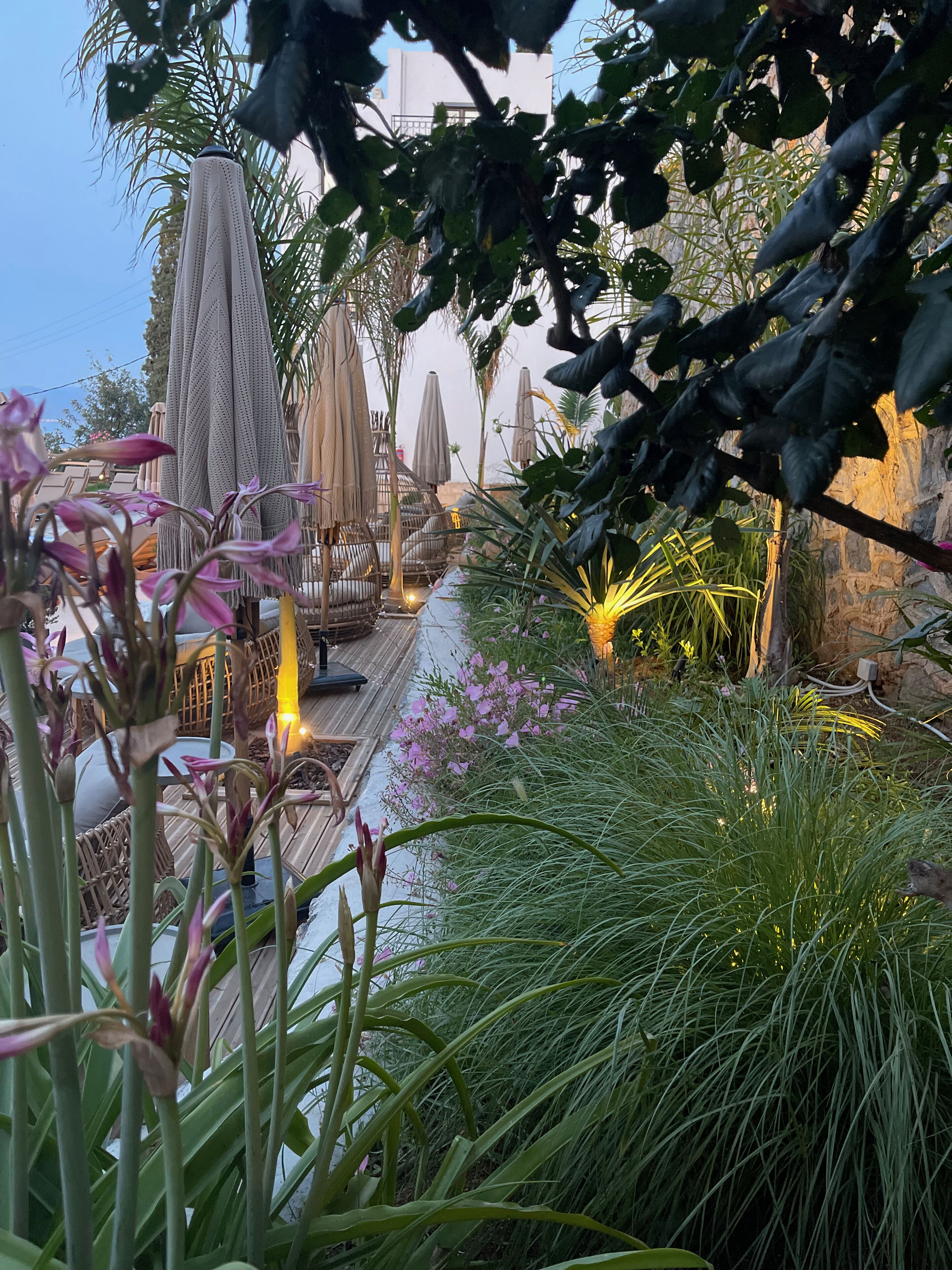 Un espace jardin aménagé avec des sièges extérieurs, comprenant des parasols et des fauteuils en osier, le tout entouré d’une végétation luxuriante et de plantes en fleurs.