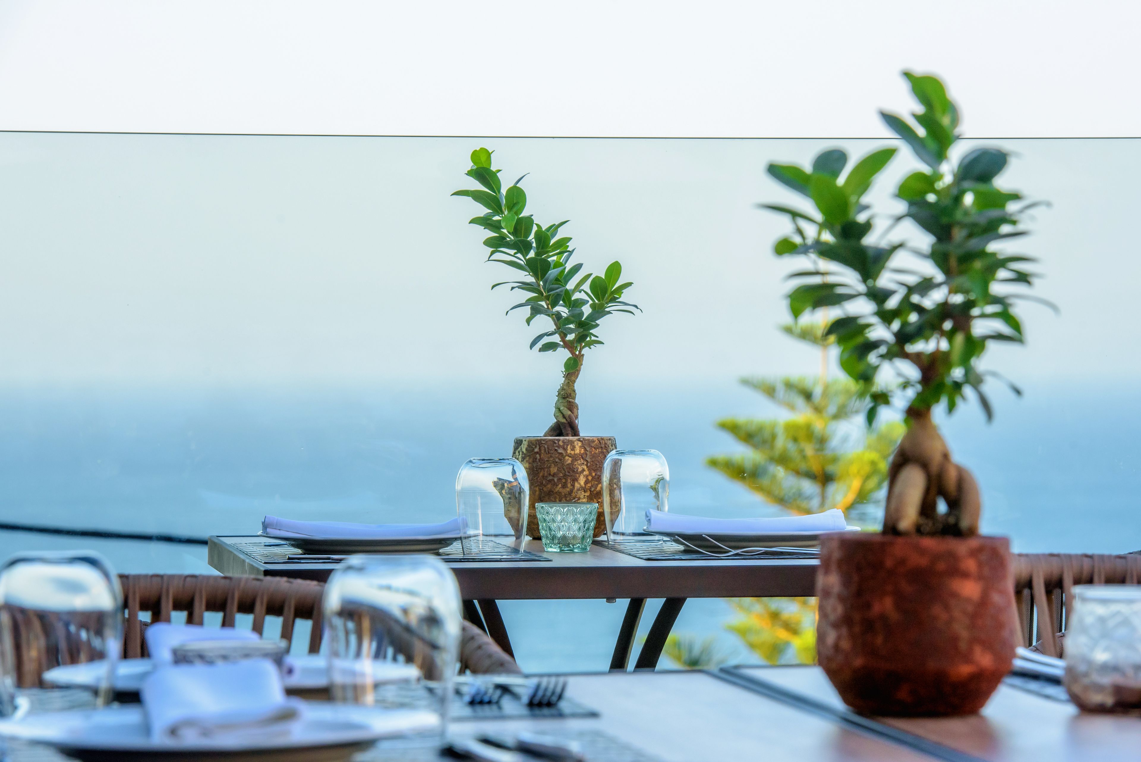 A table set for dining with a view of the sea, two potted plants, and a glass of water.