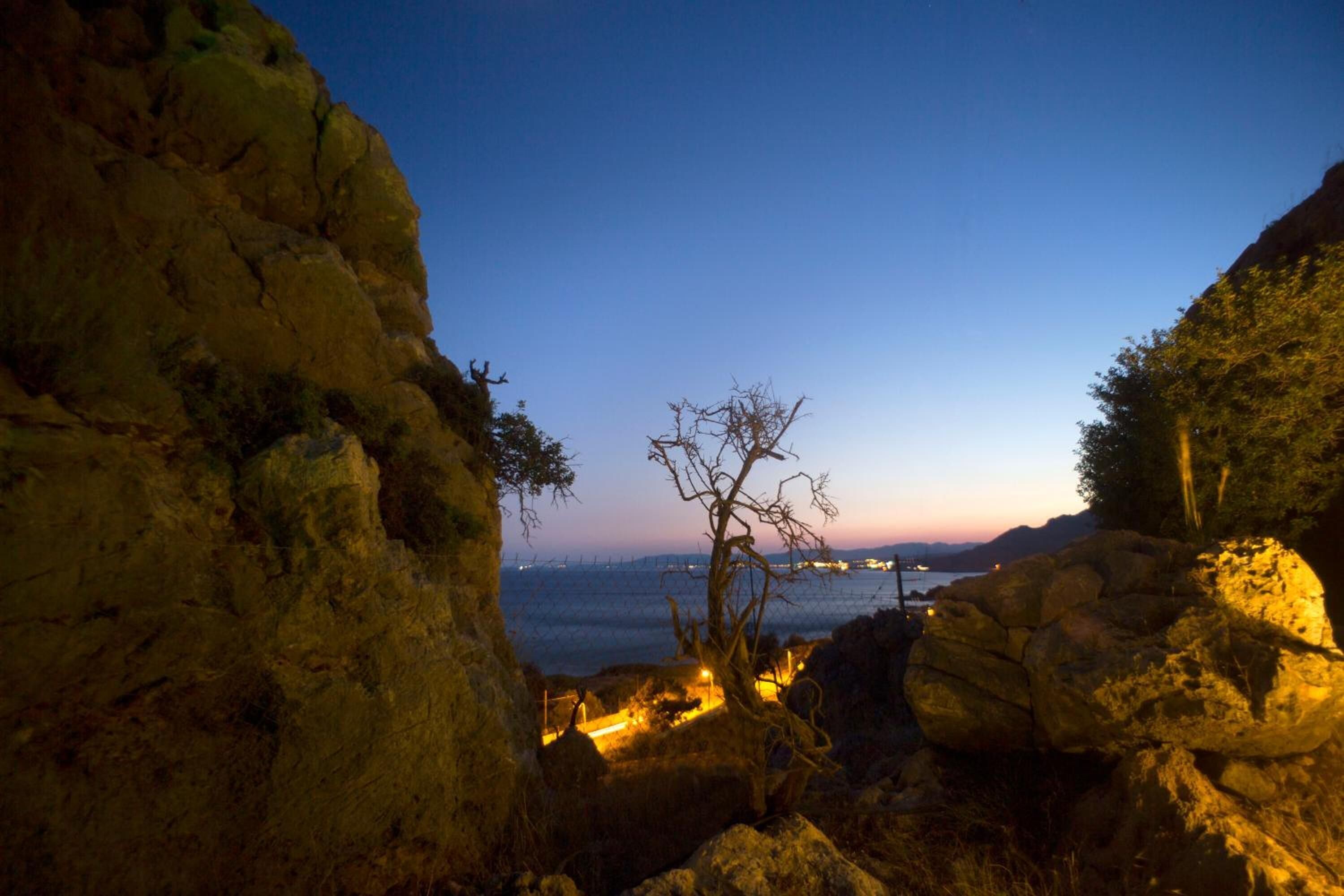 Paisaje rocoso con un árbol en primer plano y vista del mar al anochecer.