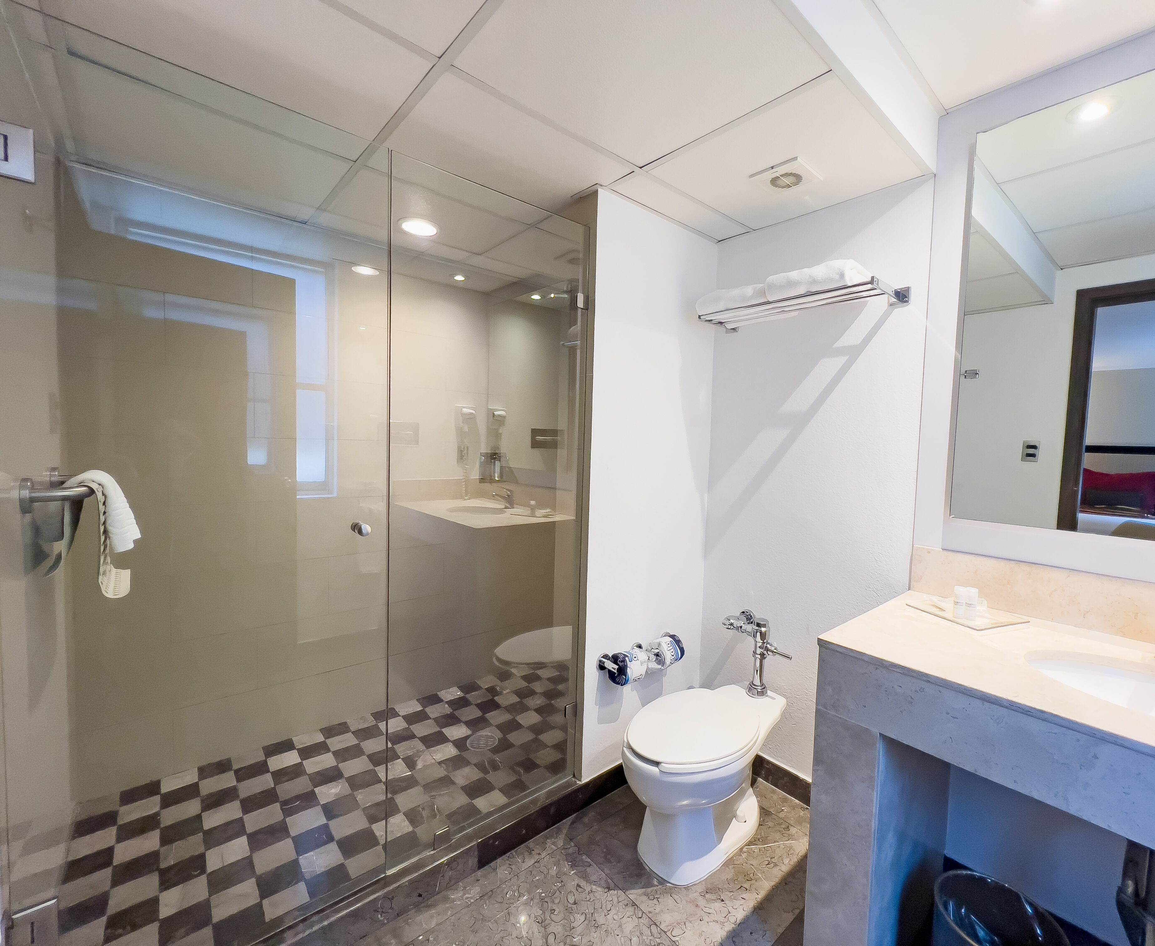 Foto - Exe Alameda Reforma