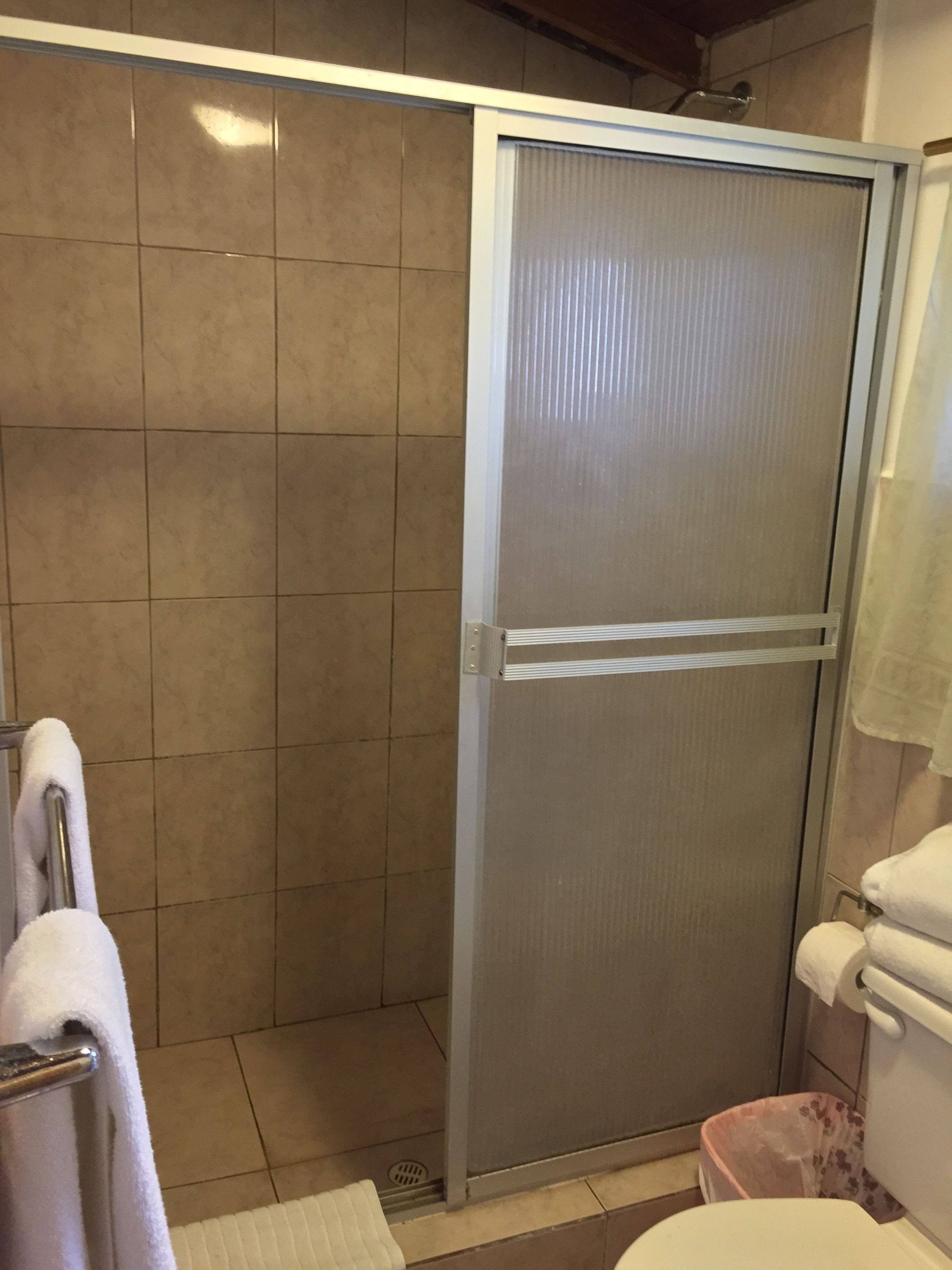 A bathroom with a shower enclosure, a toilet, and a trash bin.