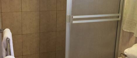 A bathroom with a shower enclosure, a toilet, and a trash bin.