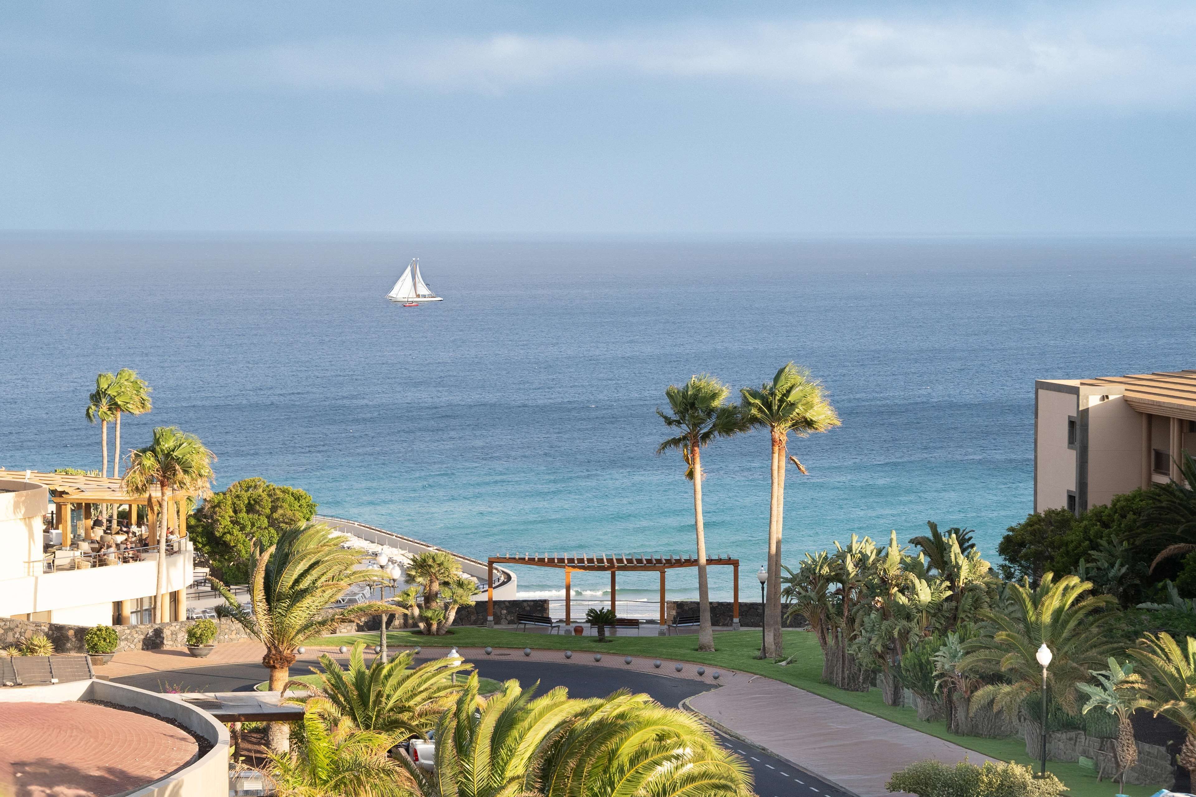 A coastal view with a sailboat on the water, palm trees, and a building with outdoor seating.