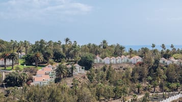 Un quartier résidentiel avec des maisons, des palmiers et un ciel dégagé.