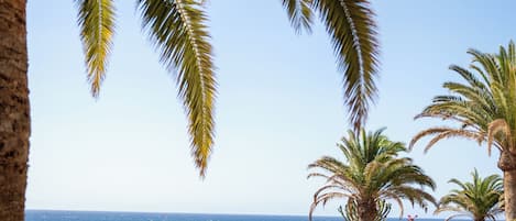 Plage à proximité, chaise longue, parasol, serviettes de plage