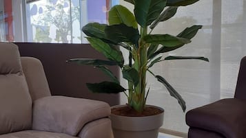 Recepción