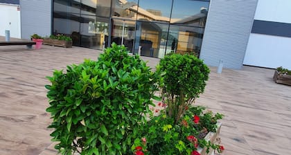 Iberflat Vega De Triana