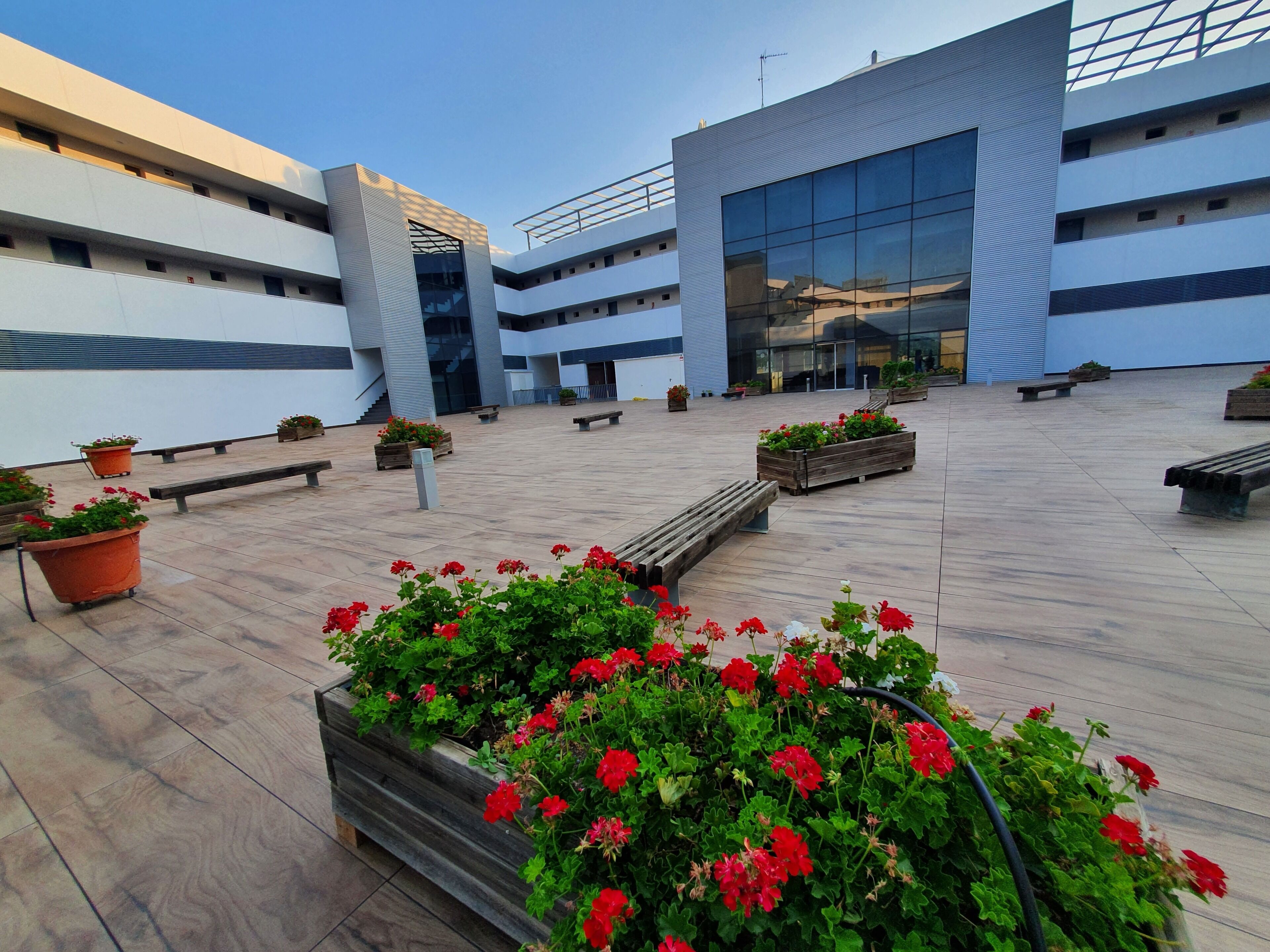 テラス / パティオ