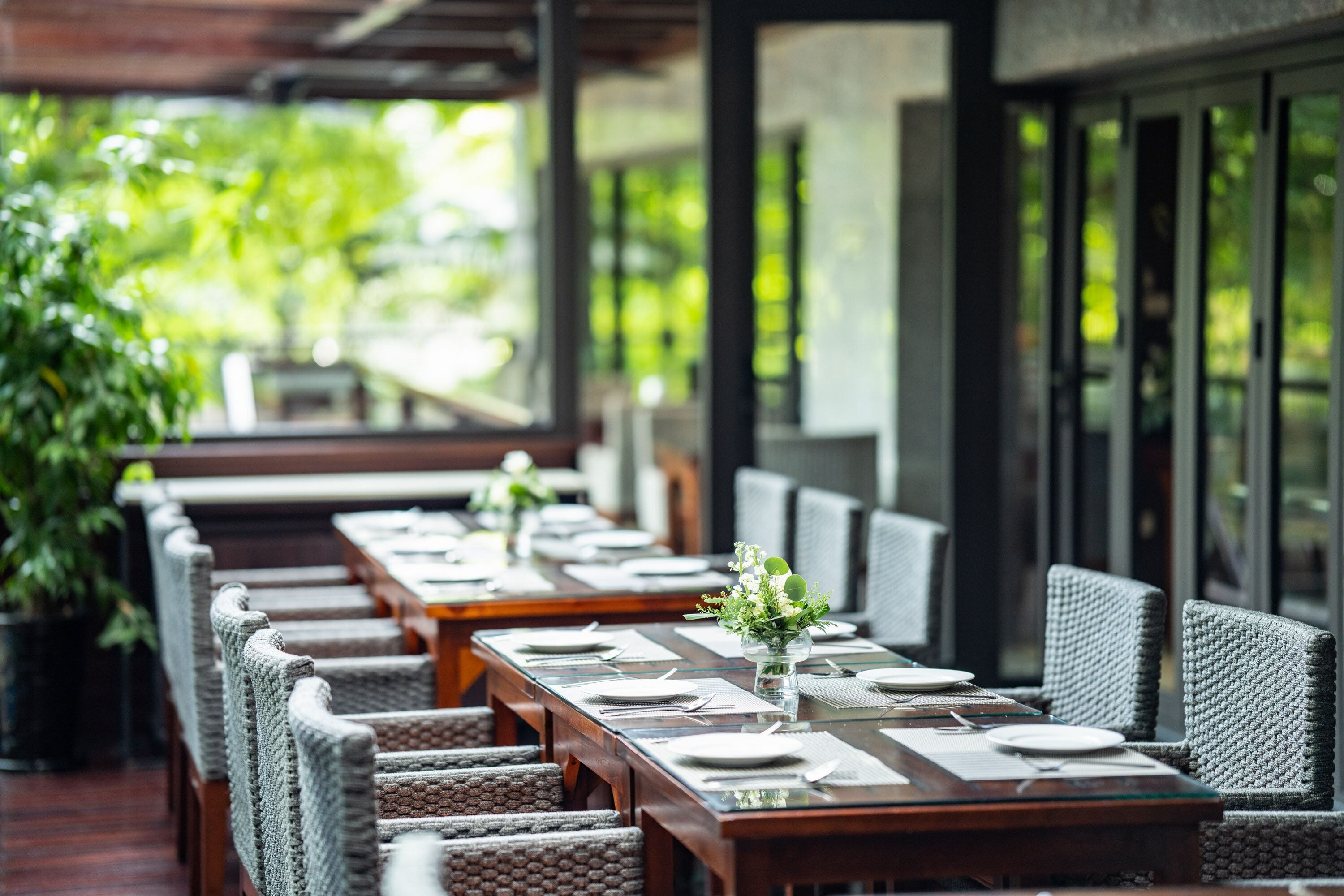 A restaurant with long wooden tables set with white plates, silverware, and clear glass water glasses. Each table has a small vase with green foliage. The chairs are upholstered in a textured fabric.