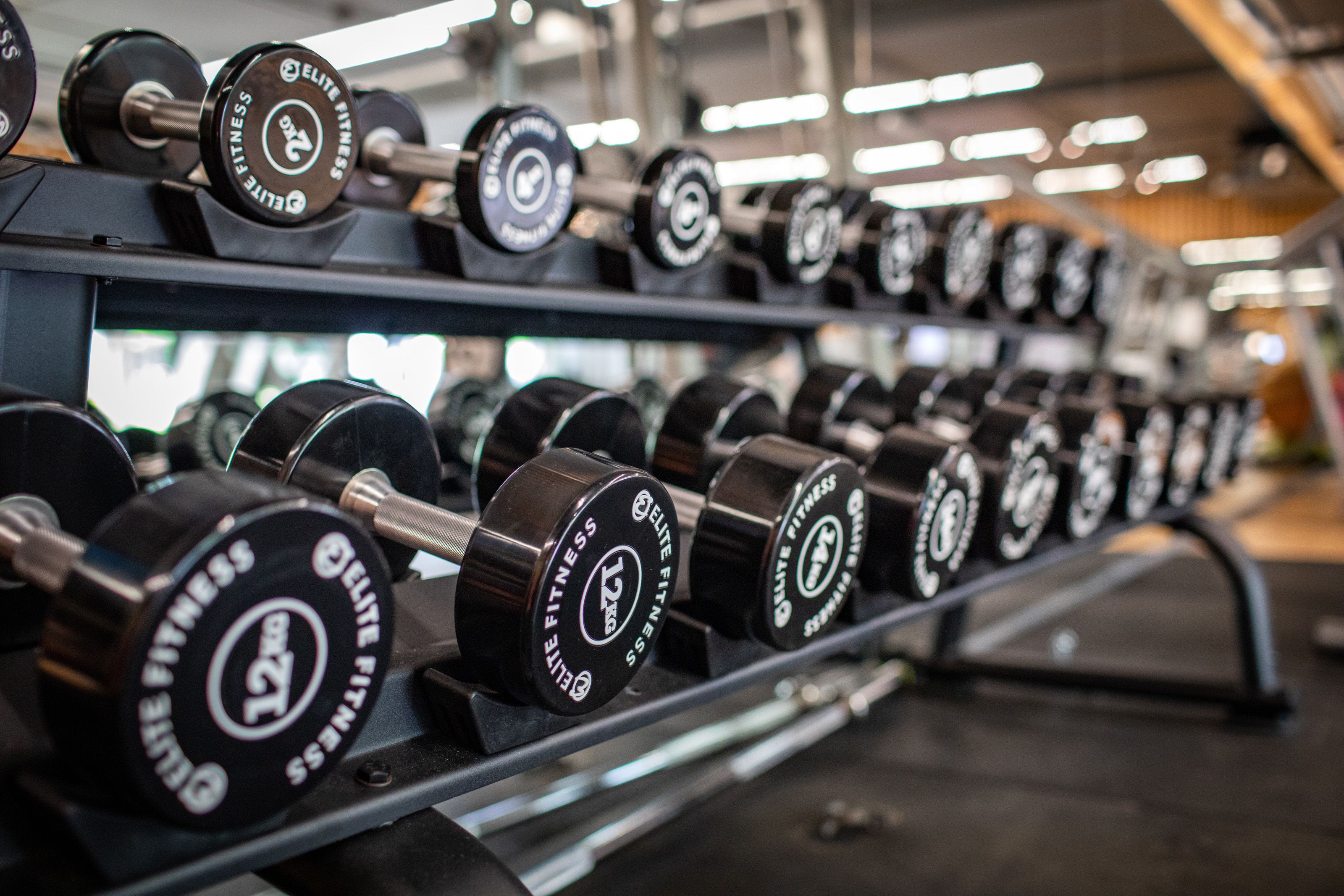 A rack of 12kg Elite Fitness dumbbells in a gym.