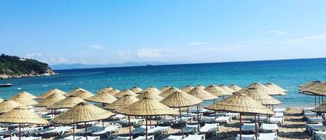 Playa en los alrededores