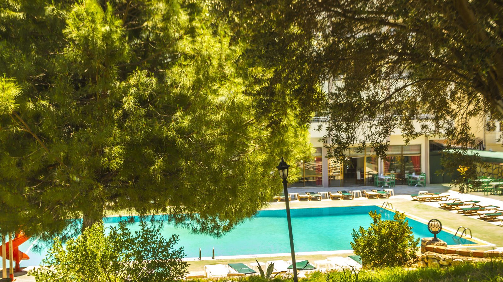 Una piscina con sillas de descanso y sombrillas, rodeada de árboles y un edificio con fachada de vidrio.