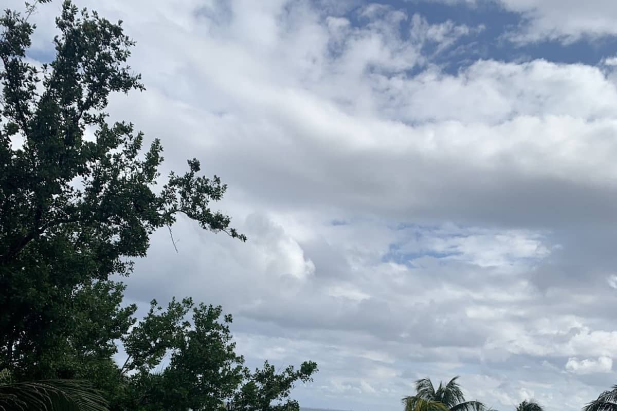 Panoramic Studio Suite | 1 bedroom, down comforters, blackout drapes, iron/ironing board