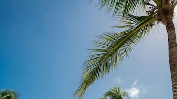 室外游泳池,池畔遮阳伞,日光浴躺椅