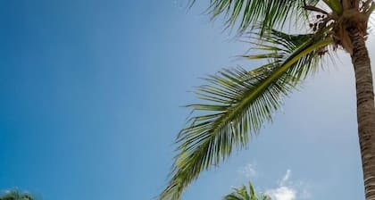 Le Reve by MIJ Beachfront Hotel