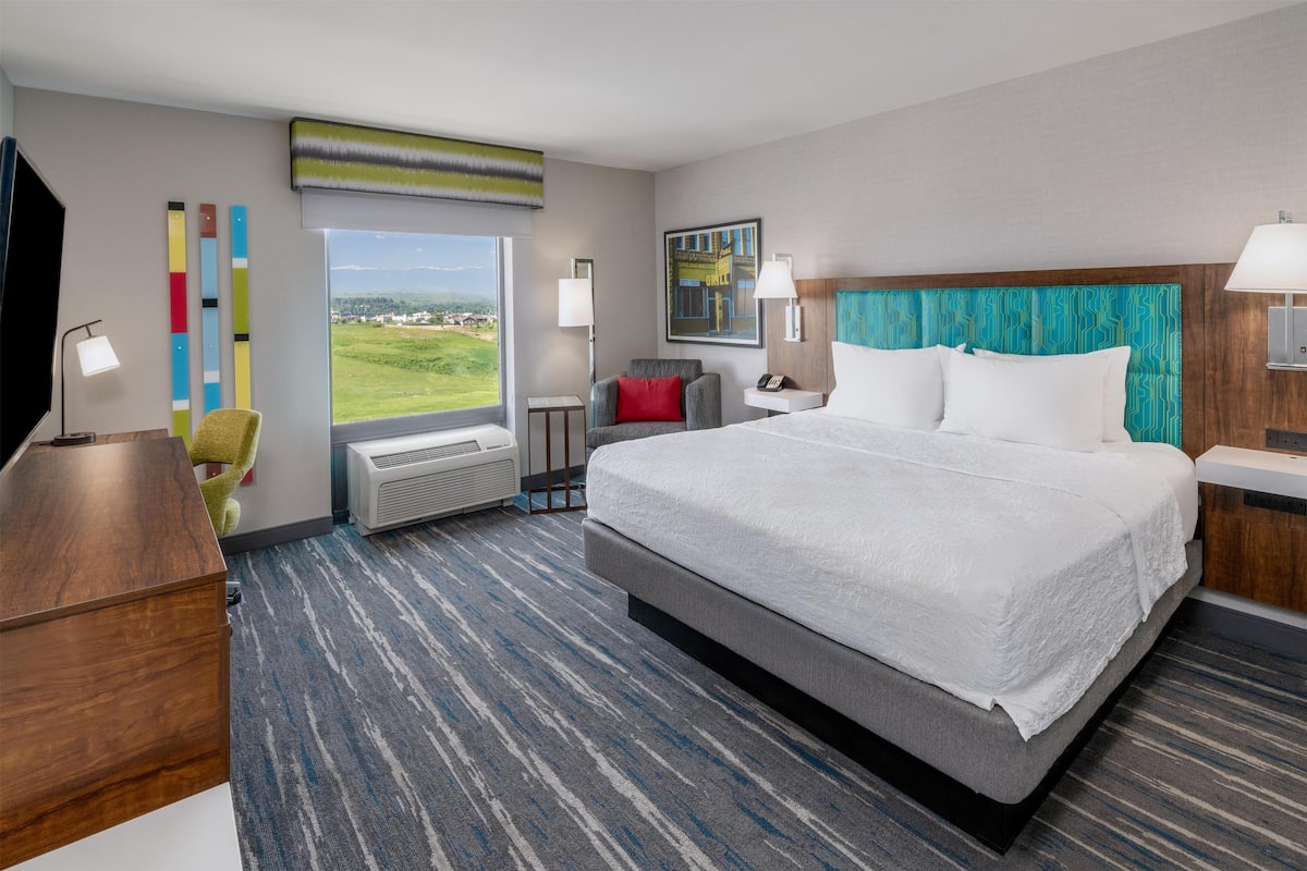 Room, 1 King Bed, Non Smoking