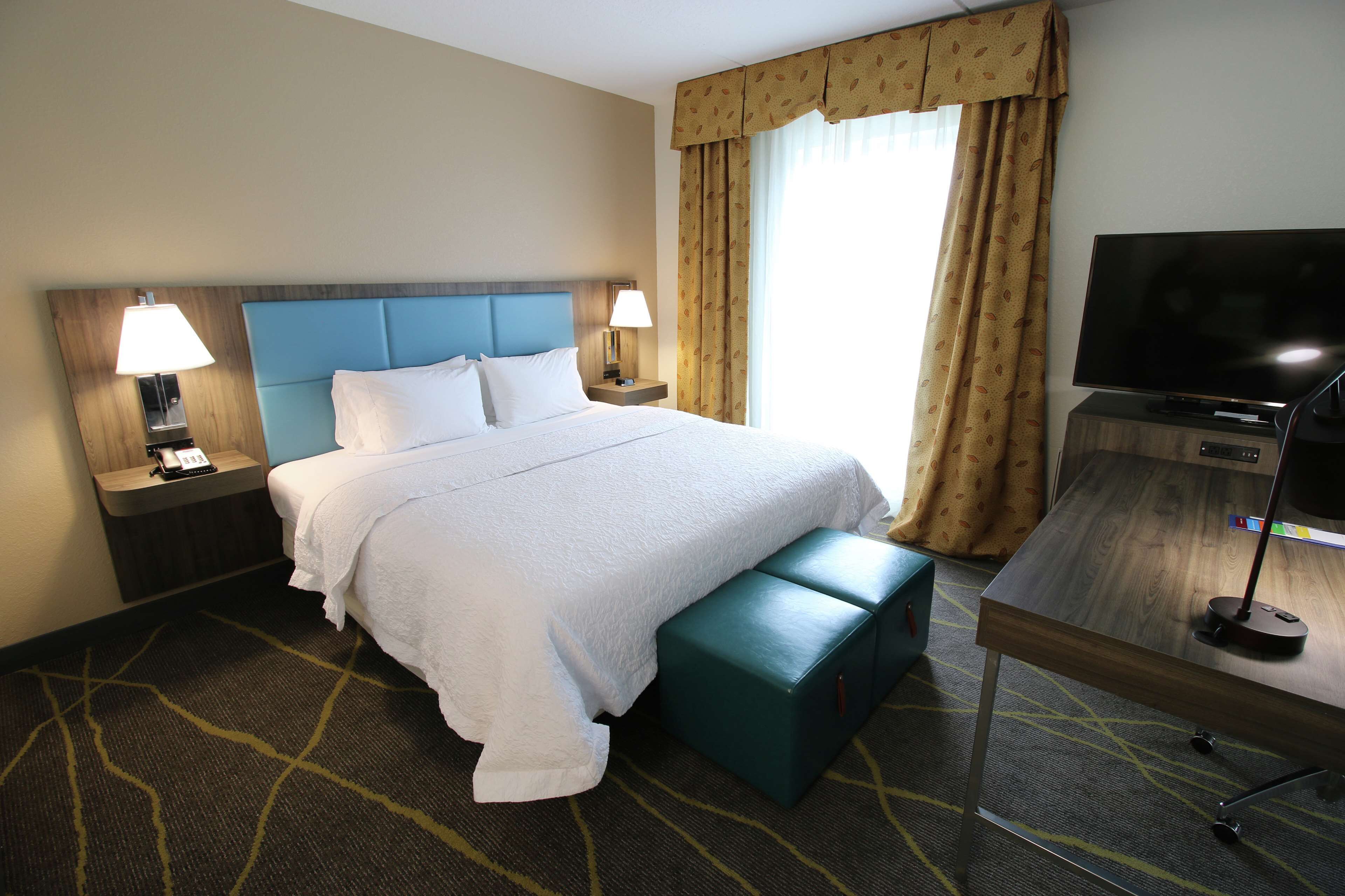 Studiosuite, 1 King-Bett und Schlafsofa