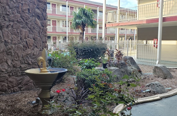 A courtyard with a fountain, various plants, and a stone wall.