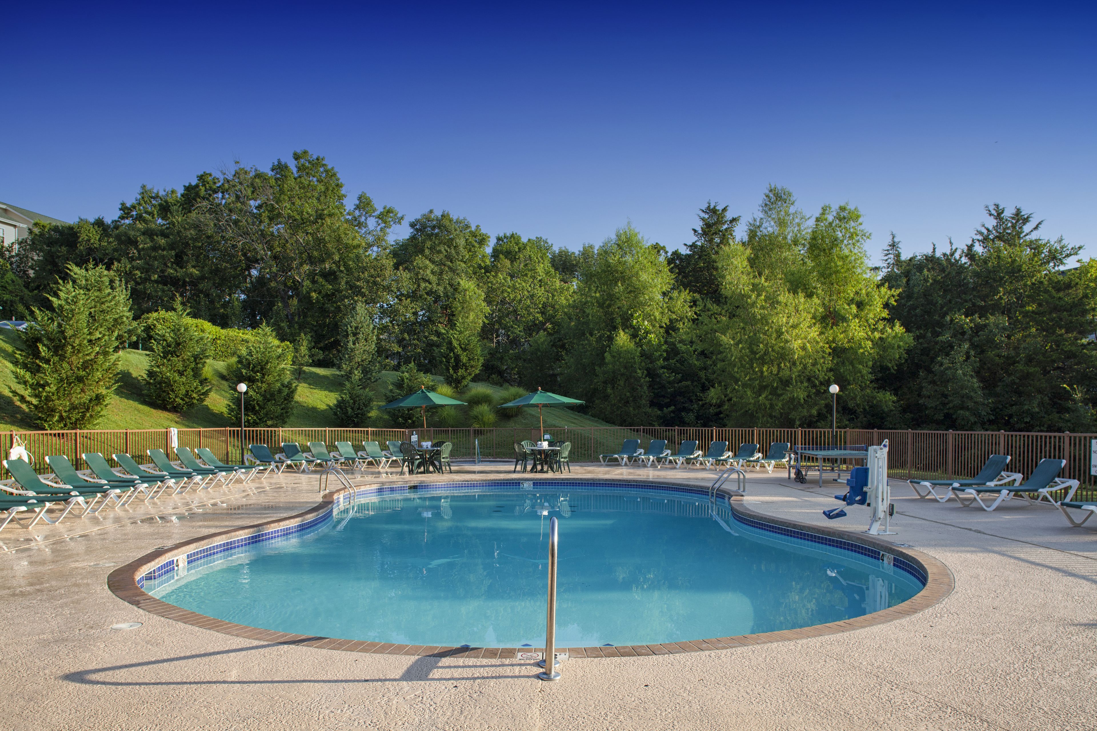 A swimming pool with lounge chairs and umbrellas, surrounded by trees.
