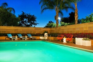 Una piscina con sillas de descanso y una palmera.