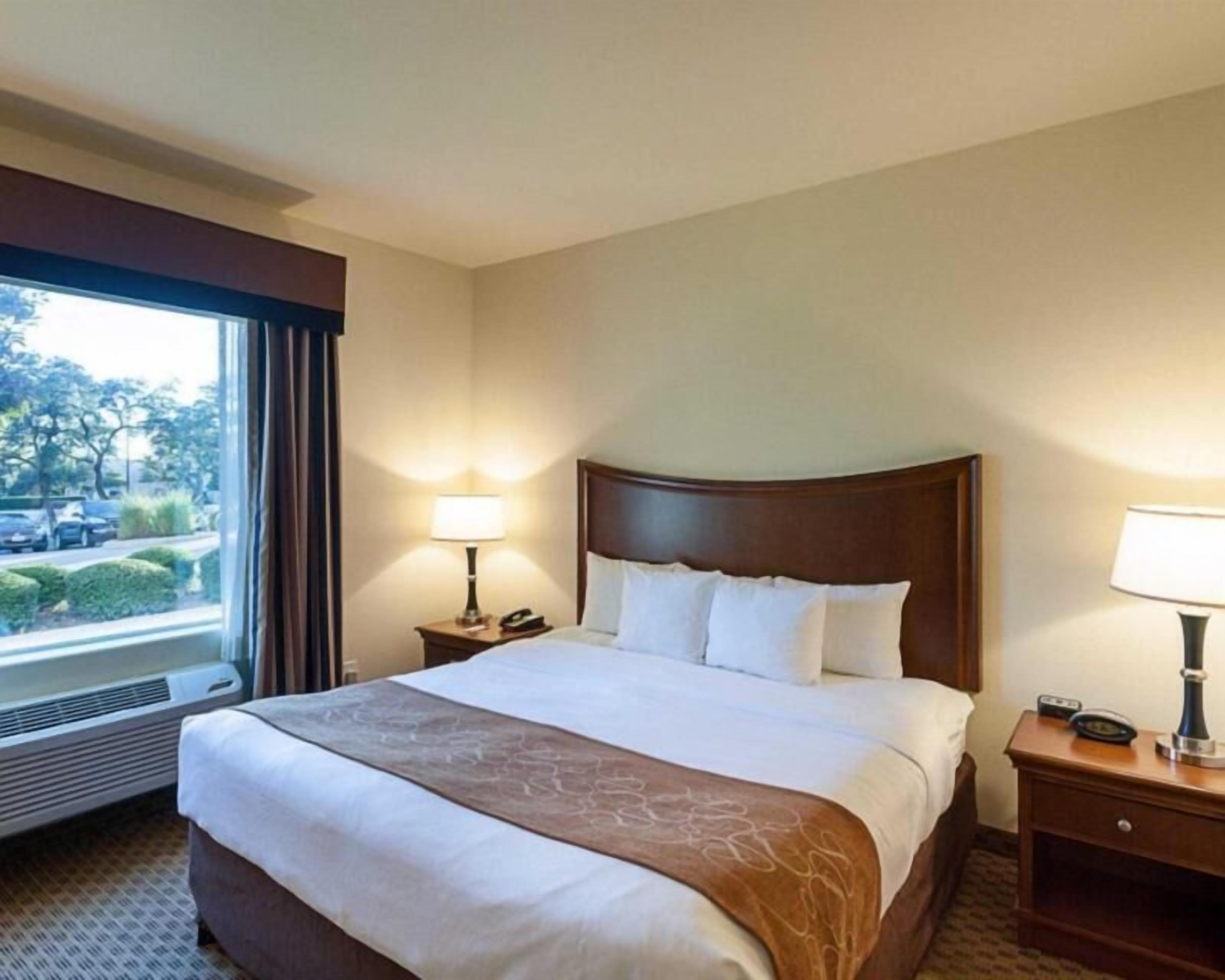 Premium bedding, pillow-top beds, desk, laptop workspace