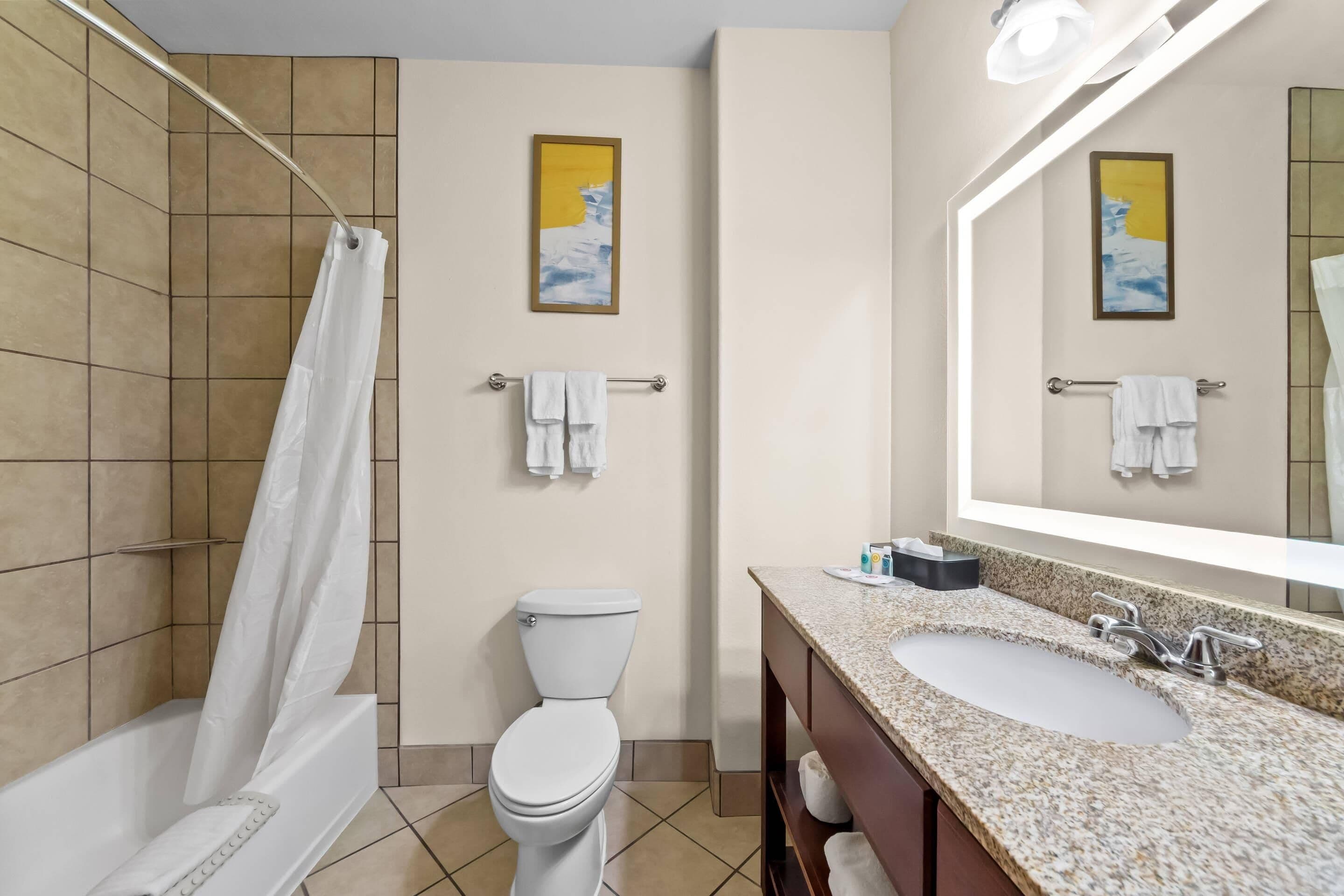 Foto - Comfort Suites San Antonio North - Stone Oak