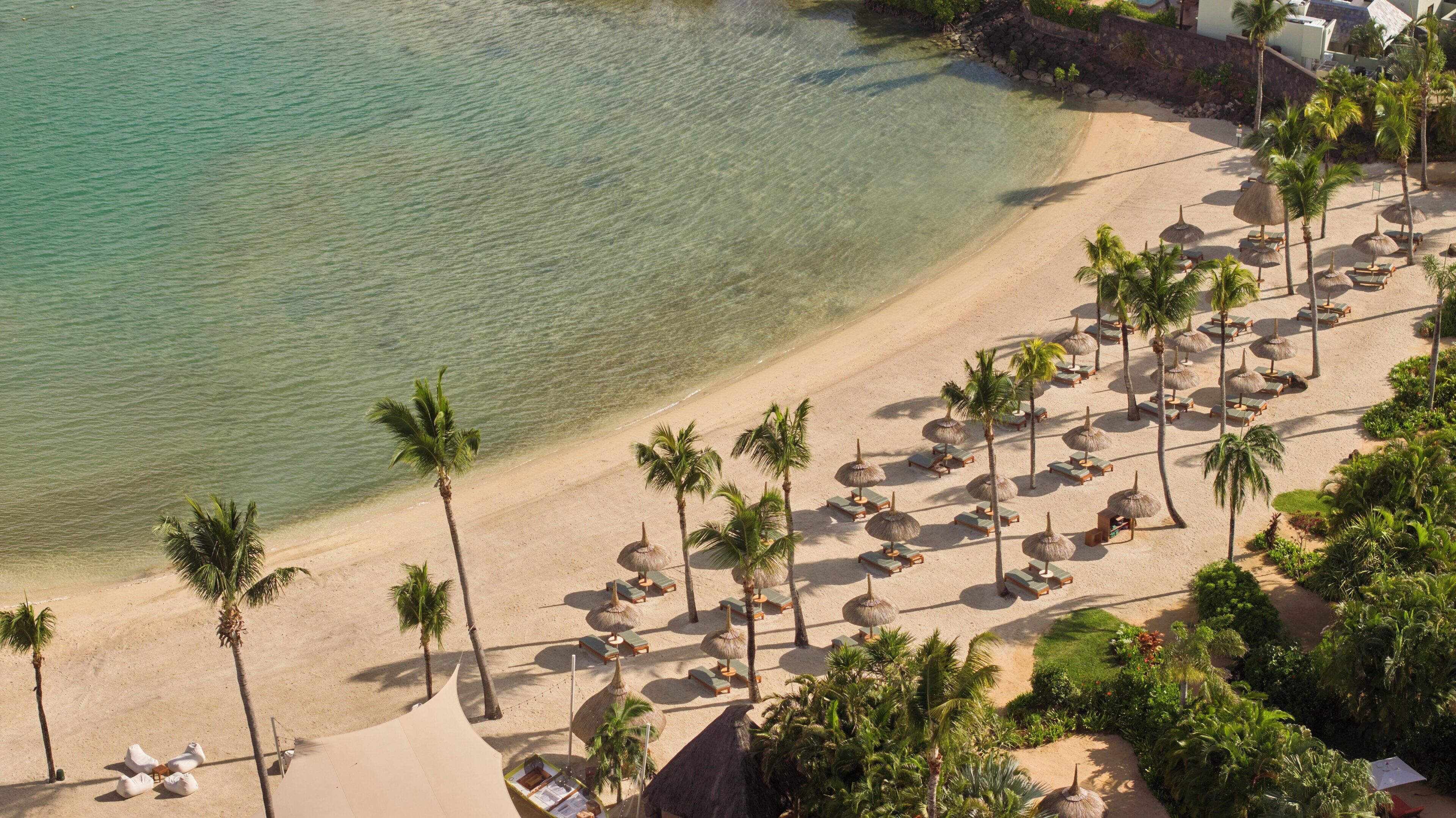An aerial view of a beach with rows of sun loungers and palm trees.