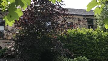 A tree with green and red leaves in a grassy area with a stone building in the background.