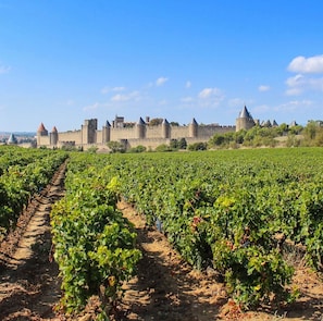 Vinhedo com fileiras de videiras em frente a um castelo histórico com diversas torres.