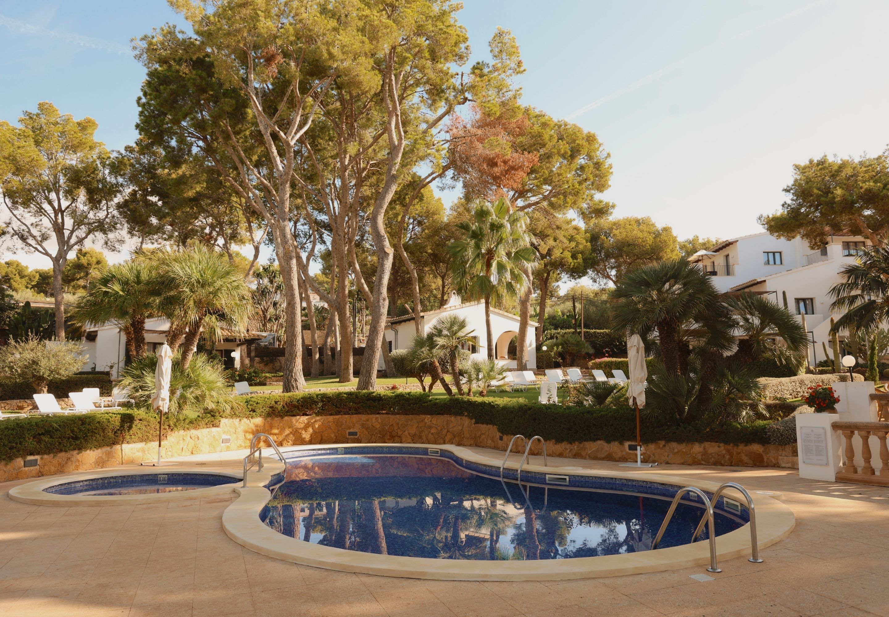 Un área de piscina con dos piscinas, rodeado de palmeras y sillas de descanso.