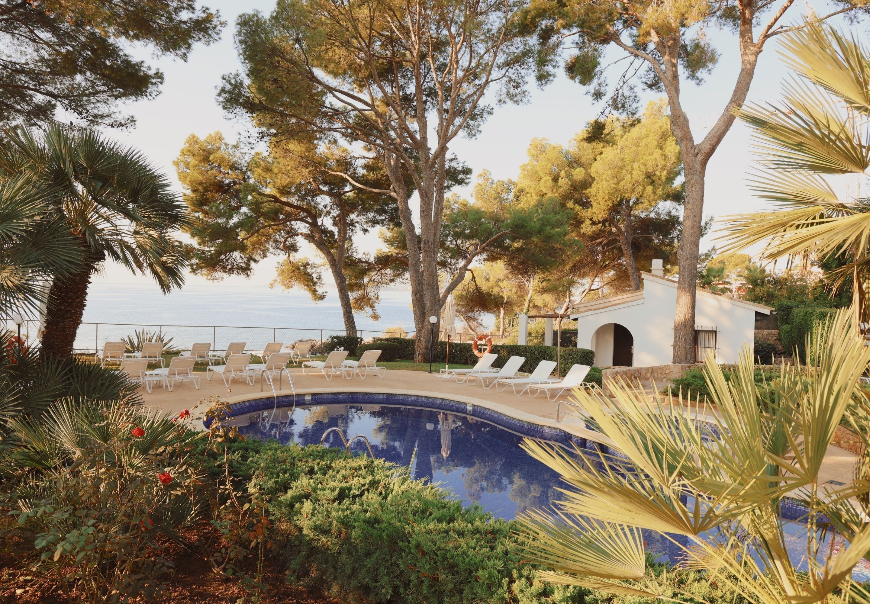 Foto - Hotel Bendinat