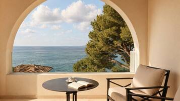 Suite estudio presidencial | Terraza o patio