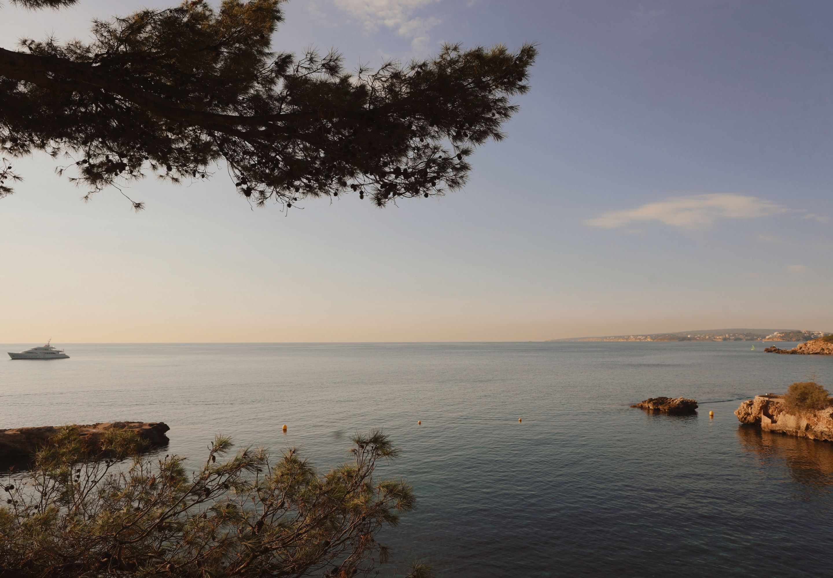 Foto - Hotel Bendinat