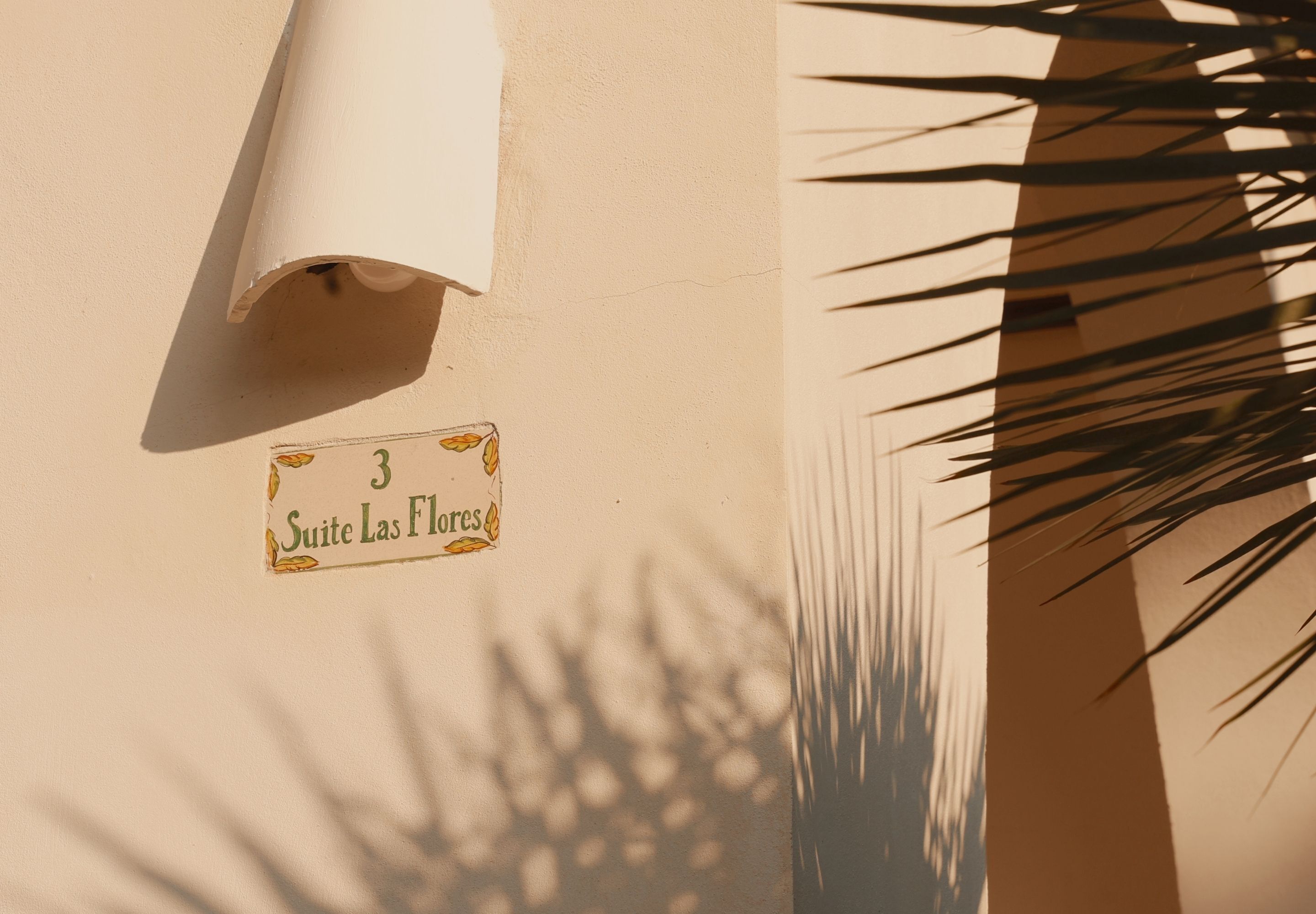 Foto - Hotel Bendinat