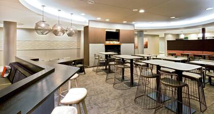 SpringHill Suites by Marriott Chesapeake Greenbrier