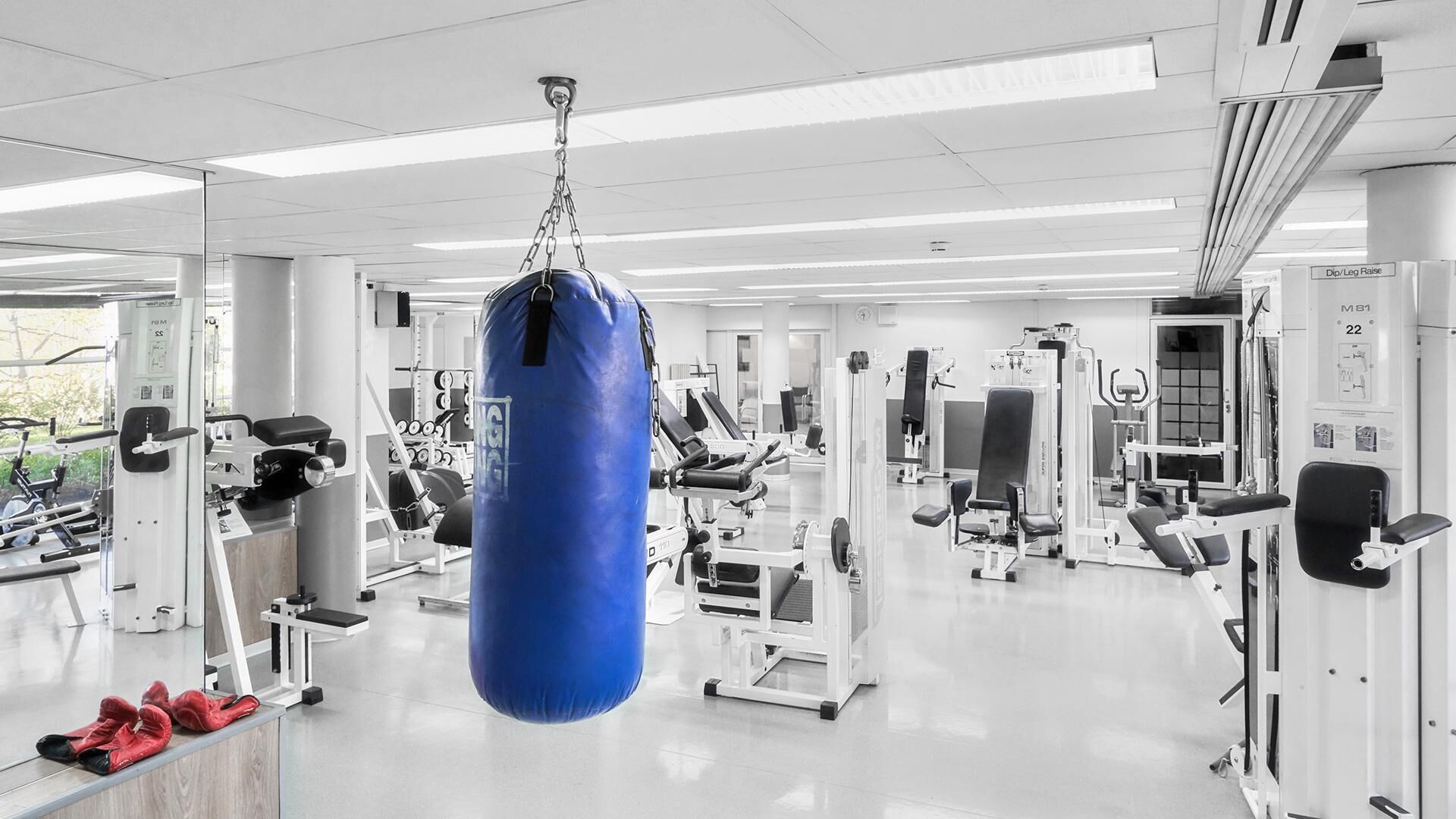 Un gimnasio con varias máquinas de ejercicio, un saco de boxeo azul y zapatos rojos en el suelo.