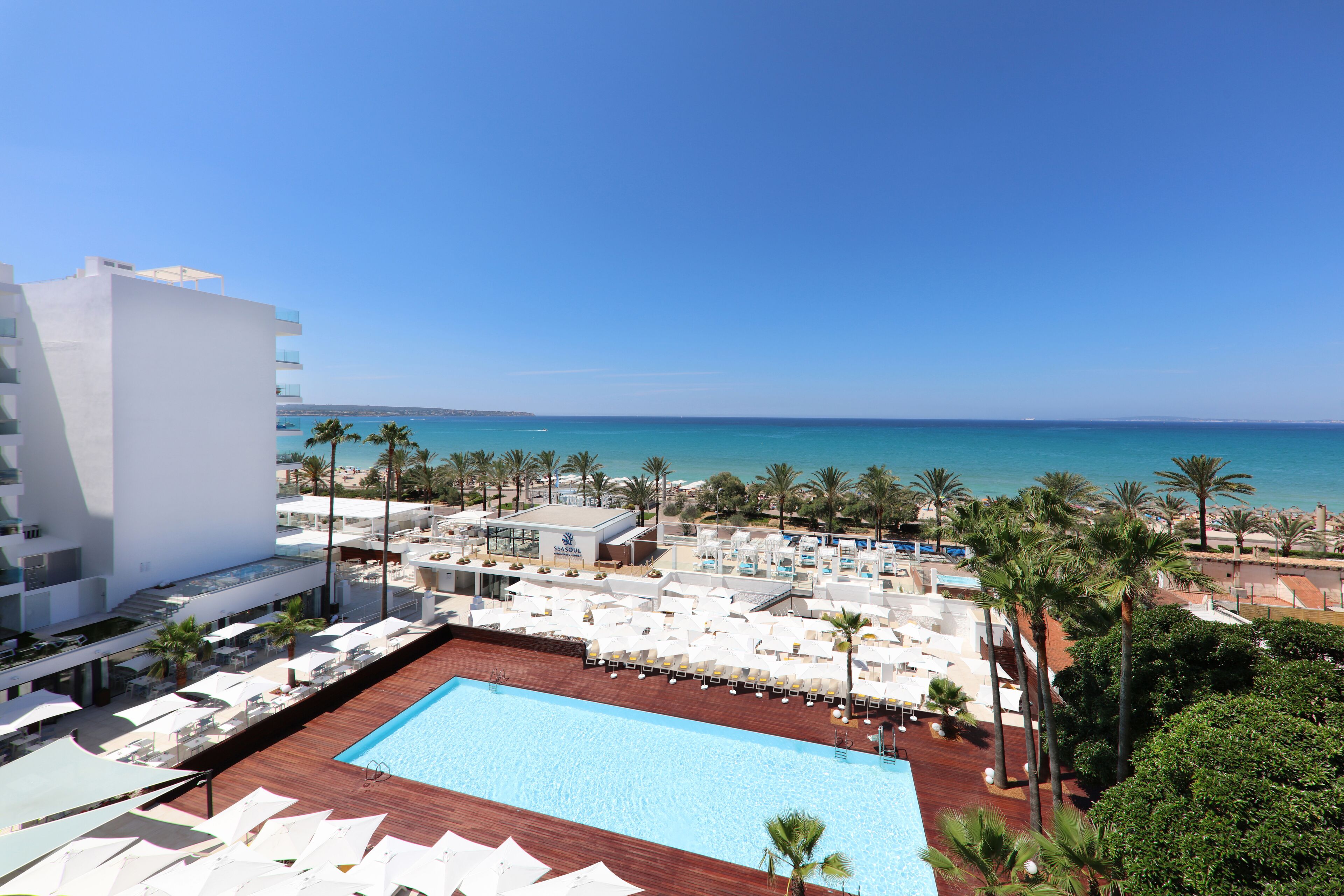 A pool area with a view of the sea, surrounded by palm trees and lounge chairs.