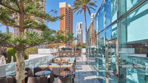 Un patio exterior con mobiliario de mimbre, una pared de vidrio y una palmera.